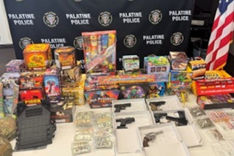 Palatine Cops Hit Dundee Quarter Home, Haul In Guns, Drugs and Body Armor