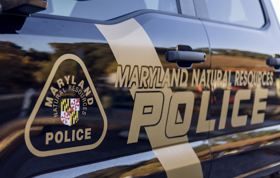 Pasadena Man Missing After Jumping From Pontoon In Rock Creek