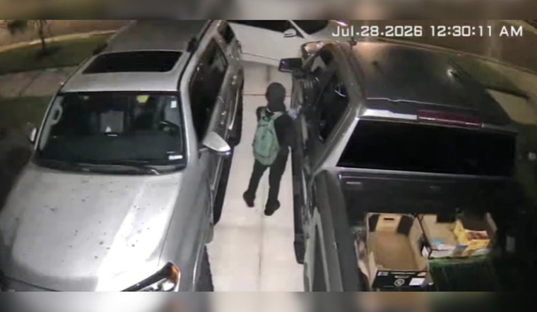 Pasco Deputies Hunt Short Suspect After San Antonio Florida Break-Ins