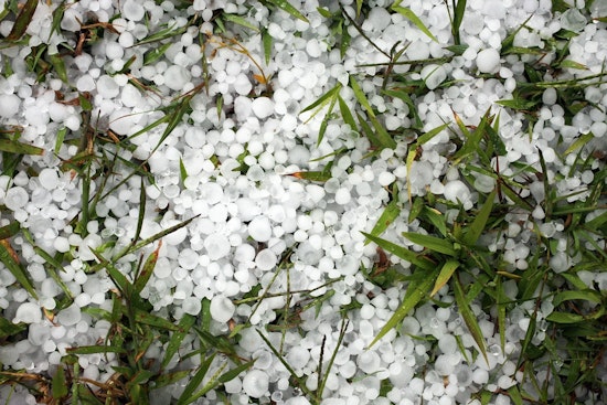 Pea-Size Hail, 40-MPH Gusts Bear Down On Memphis Area