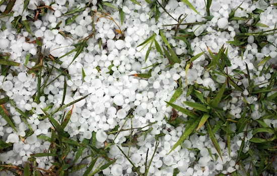 Pea-Size Hail, 40-MPH Gusts Bear Down On Memphis Area