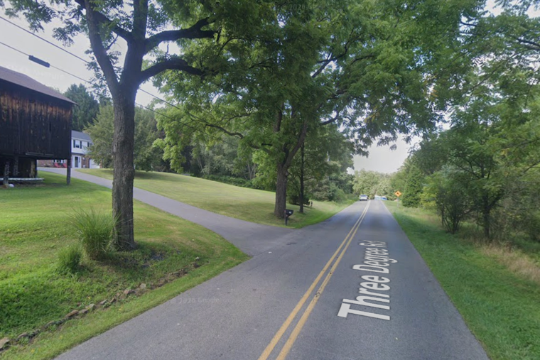 Penn Township Woman Killed After Tree Limb Falls