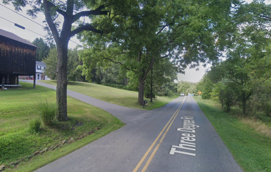 Penn Township Woman Killed After Tree Limb Falls