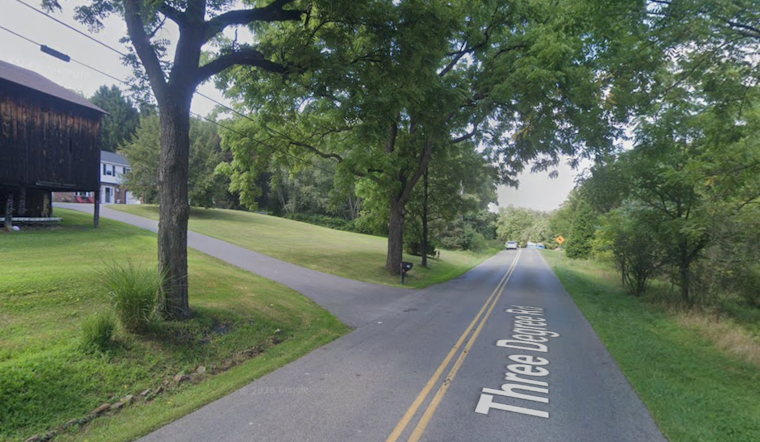 Penn Township Woman Killed After Tree Limb Falls