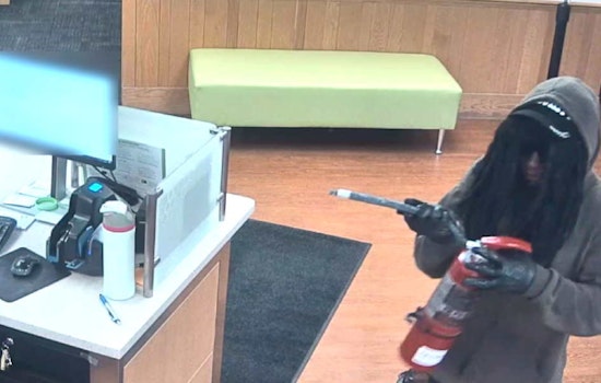 Pepper Spray, Fake Dreads And A Fire Extinguisher In Northbrook Bank Heist Earn Chicago Man 12 Years