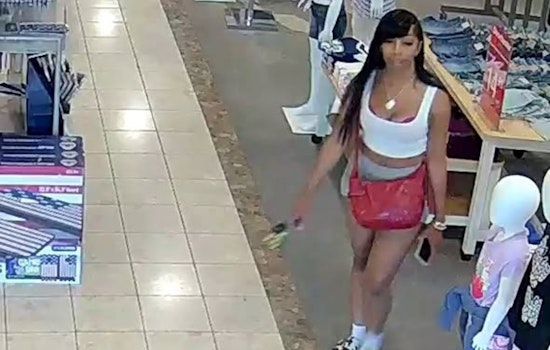 Pepper Spray Heist At Miami Twp. JCPenney As Cops Hunt Trio Of Women