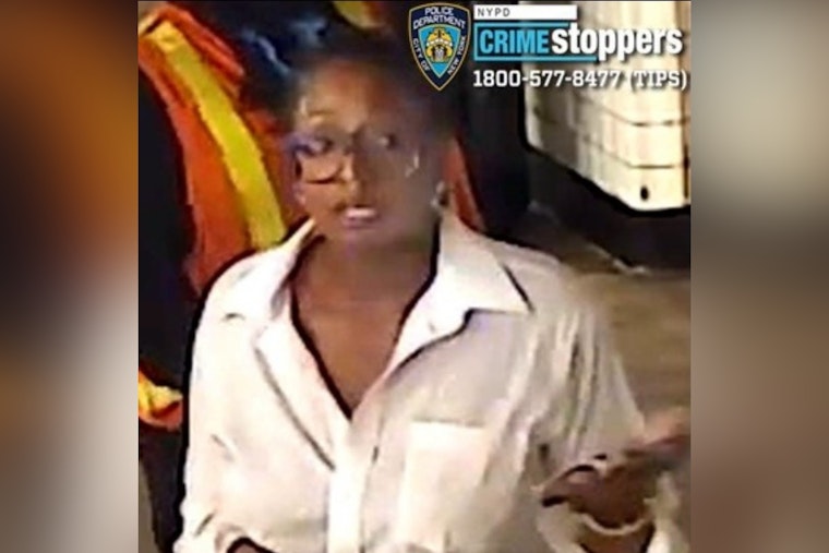 Pepper Spray Subway Robber Sought After 23rd Street Platform Attack
