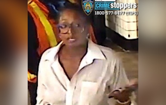 Pepper Spray Subway Robber Sought After 23rd Street Platform Attack