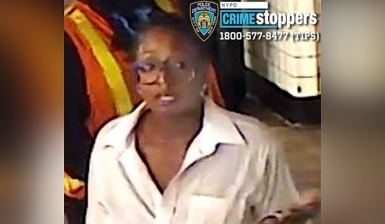 Pepper Spray Subway Robber Sought After 23rd Street Platform Attack