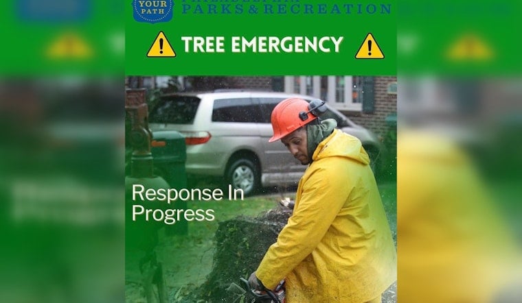 Philly Parks Respond After Storm Topples Trees