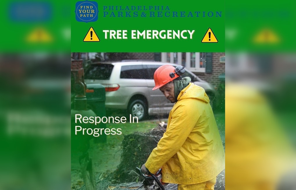 Philly Parks Respond After Storm Topples Trees