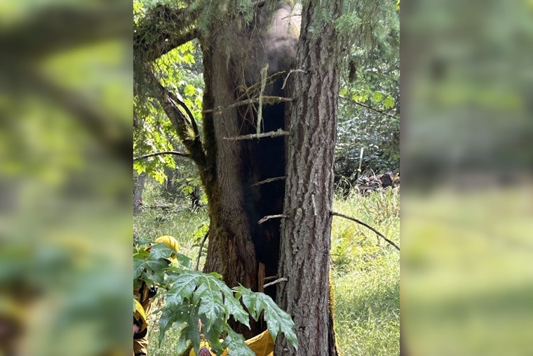 Philomath Lightning Storm Sparks Tiny Fires, Big Go-Bag Wake-Up Call