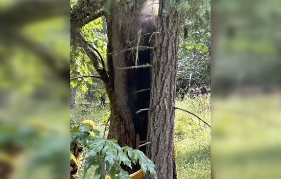 Philomath Lightning Storm Sparks Tiny Fires, Big Go-Bag Wake-Up Call