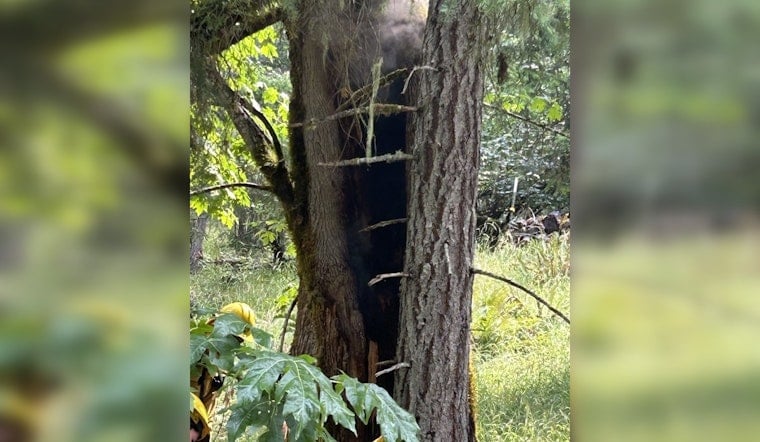 Philomath Lightning Storm Sparks Tiny Fires, Big Go-Bag Wake-Up Call