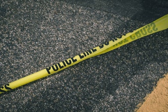 Pickup Slams Into Horse Buggy, Killing Las Vegas Teen