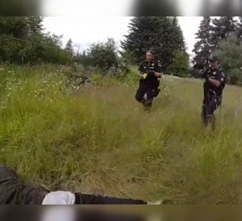Pierce County Man Nabbed After Alleged Safeway Sex Assault Spree