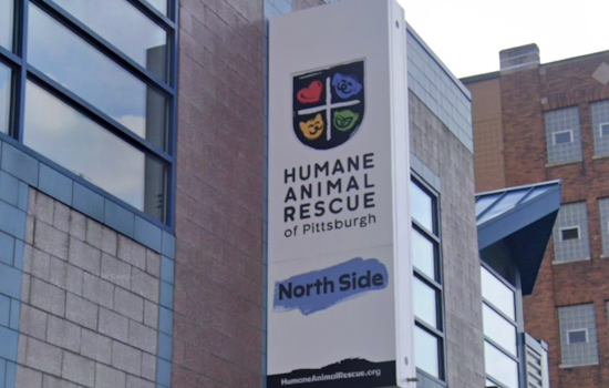 Pittsburgh Pet Rescuers Squeak Out Union Win With Steelworkers