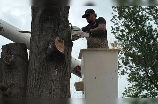 Ponca City Tree Job Turns Terrifying As Brothers Plunge 45 Feet