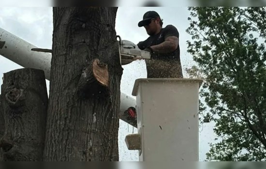 Ponca City Tree Job Turns Terrifying As Brothers Plunge 45 Feet