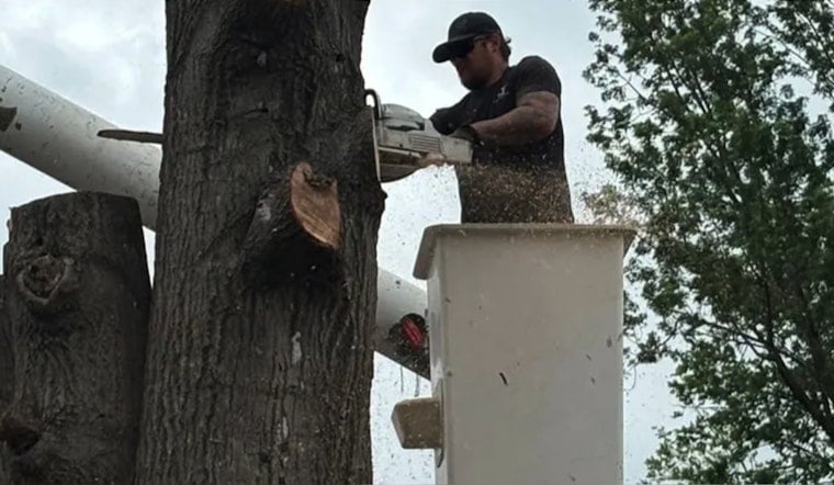 Ponca City Tree Job Turns Terrifying As Brothers Plunge 45 Feet