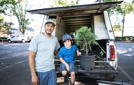 Portland’s Free Tree Blitz To Drop 8,500 New Saplings This Winter