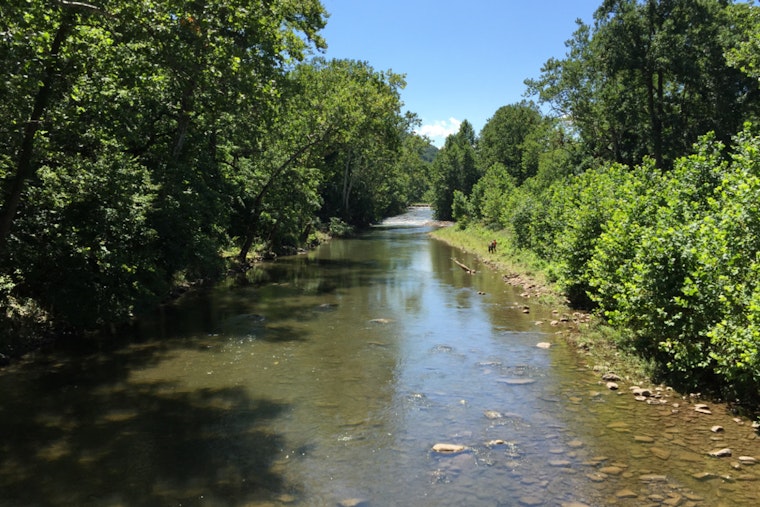 Potomac Turns Deadly As Record Heat Cooks Fish Near Seneca