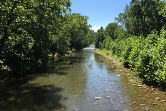 Potomac Turns Deadly As Record Heat Cooks Fish Near Seneca
