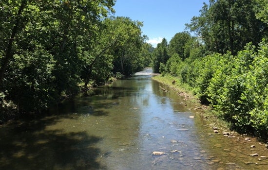 Potomac Turns Deadly As Record Heat Cooks Fish Near Seneca