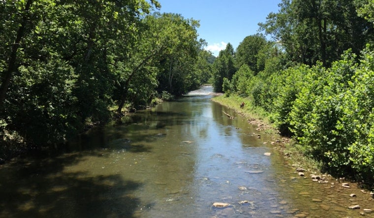 Potomac Turns Deadly As Record Heat Cooks Fish Near Seneca