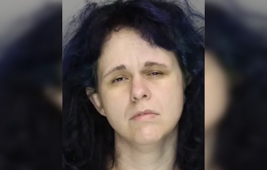 Powder Springs Woman Accused In $25K Fake Scan And Go Heist