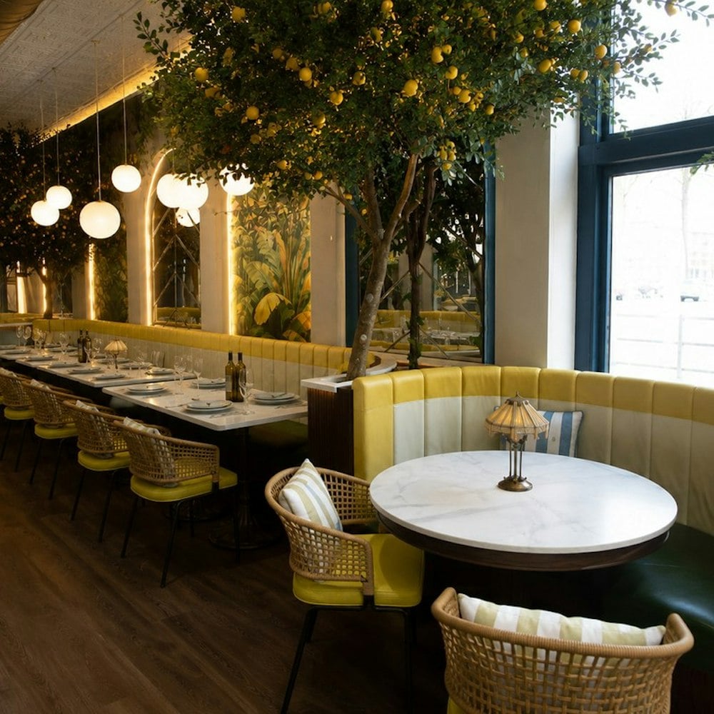 Prado 264 Brings Italo-Cuban Dining To Louisville’s Bardstown Road