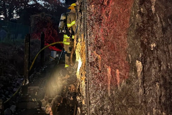 Pre-Dawn Blaze Rips Horry County Home, Sends Firefighter To Hospital