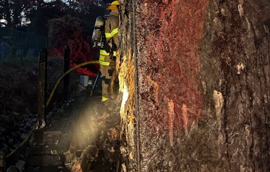 Pre-Dawn Blaze Rips Horry County Home, Sends Firefighter To Hospital
