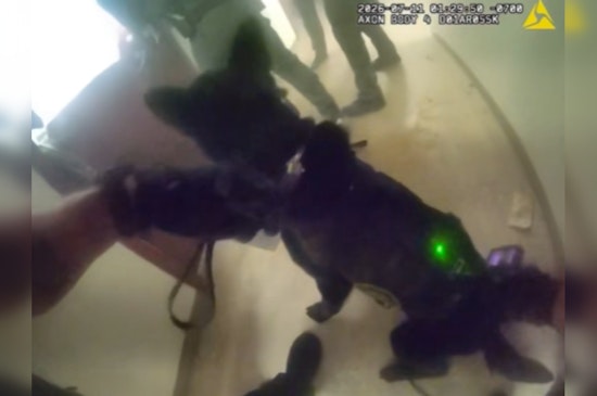 Propane Tank Horror at Olympia's Jungle Ends in SWAT Chainsaw Raid