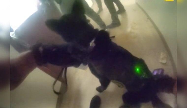 Propane Tank Horror at Olympia's Jungle Ends in SWAT Chainsaw Raid