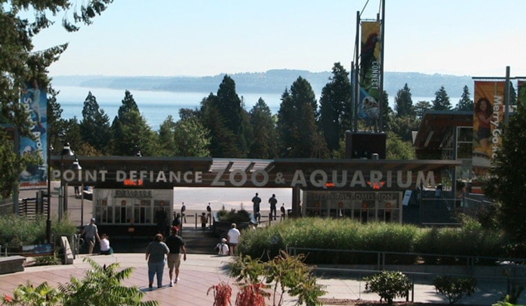 Puffin Tragedy Rocks Tacoma Zoo, Shutters Popular Exhibit