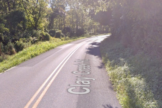 Puppies Abandoned on Clay Creek Road in Chester County