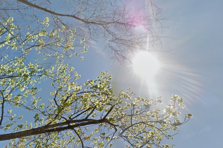 Queen City Broils Under Brutal Heat as Storms Lurk This Weekend