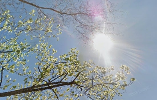 Queen City Broils Under Brutal Heat as Storms Lurk This Weekend