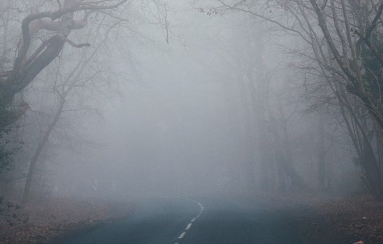 Queen City Wakes in a Fog, Braces for Steam-Bath Heat