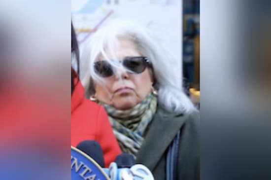 Queens Firebrand Vickie Paladino Sued Over Claimed Online Smear Of Slain Activist’s Partner