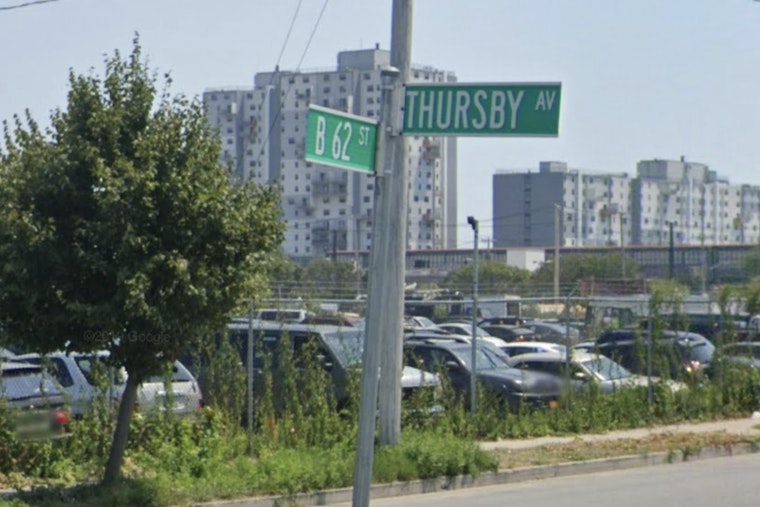 Queens Grocery Run Turns Bloody as Pit Bull Mauls Visiting Family