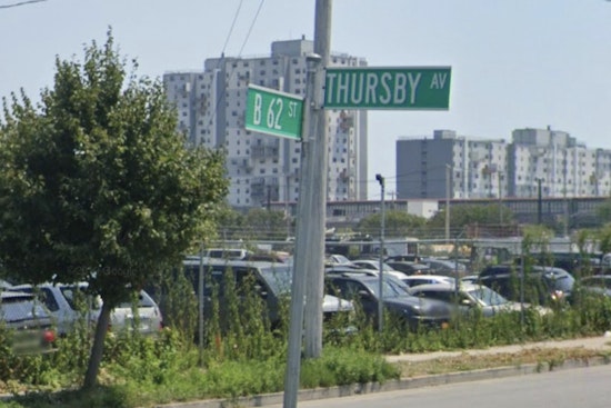 Queens Grocery Run Turns Bloody as Pit Bull Mauls Visiting Family
