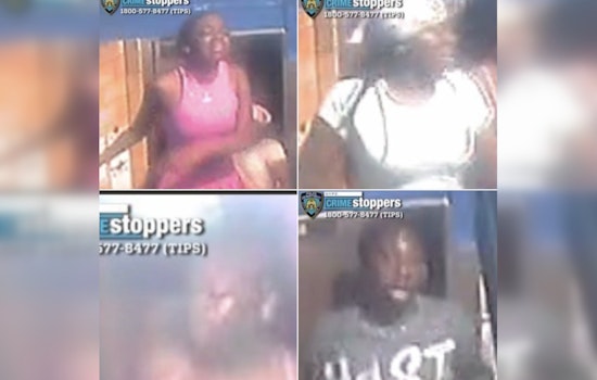 Queens July 4 Neck-Stab Chaos as Cops Hunt Gang Assault Crew
