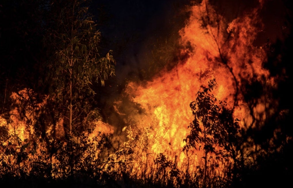 Quincy Lakes Blaze Triggers Late-Night ‘Go Now’ Orders As Alerts Glitch