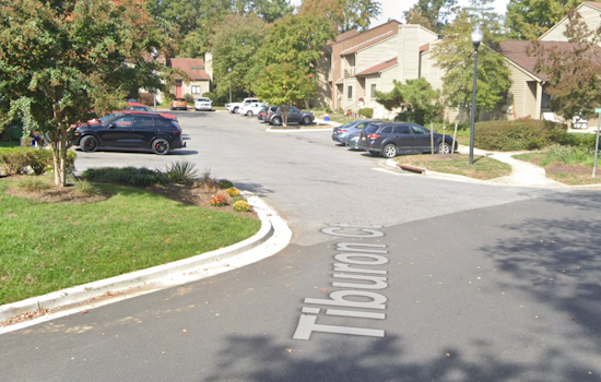 Rampaging Dog Bites Neighbors And Pets On Annapolis Block Before Cop Opens Fire