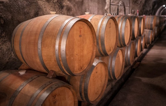 Sonoita’s New Rancho Castillo Winery Pours Big, Inky Reds From A Backyard Dream