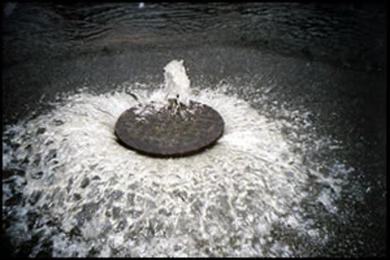 Raw Sewage Nightmare Has Woodland Heights Block Fuming On Wrightwood