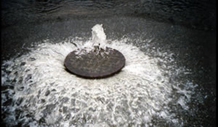 Raw Sewage Nightmare Has Woodland Heights Block Fuming On Wrightwood