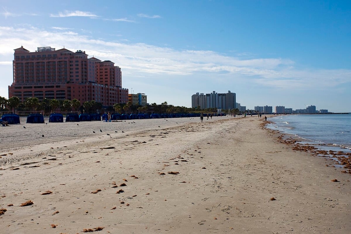 Red Flags Fly As Clearwater Lifeguards Haul Dozen-Plus From Angry Gulf